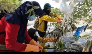 Workshop Sukses Bahas Pengelolaan Sampah Plastik di Ekosistem Mangrove Indonesia