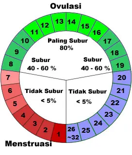 Cara Menghitung Masa Subur Setelah Haid untuk Mencegah Kehamilan