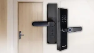 Pintu Kayu Berjamur Saat Musim Hujan? Begini Cara Mengatasinya!
