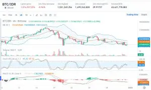 Bitcoin di Tahun 2025: Potensi Besar atau Ancaman Tinggi?