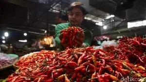 Harga Cabai di Palembang Jelang Ramadan: Turun, Tapi Masih Tinggi