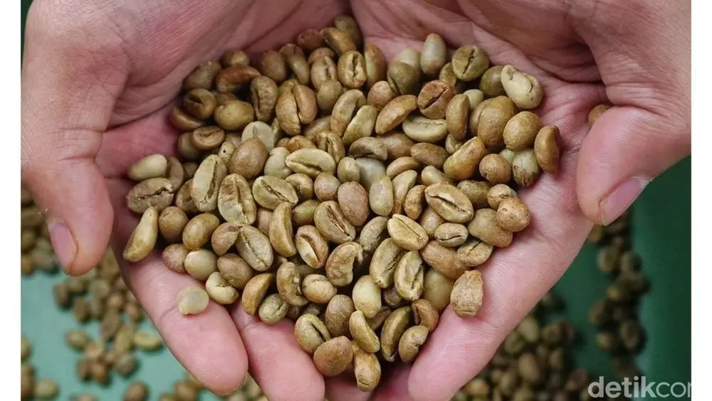 Harga Kopi Pagar Alam Tembus Rp75.000/Kg