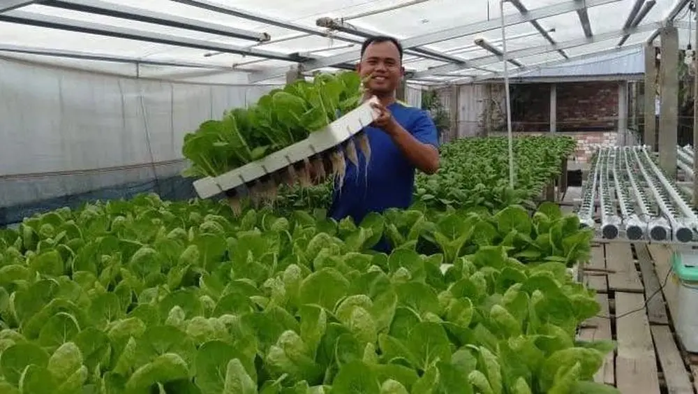 Pertamina Bangun Ketahanan Pangan di Jambi Hadapi Perubahan Iklim