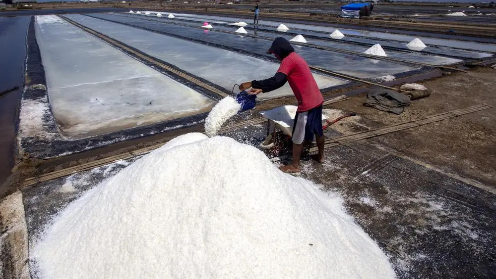 KKP Gelontorkan Rp750 Miliar untuk Wujudkan Sentra Garam Industri di Rote