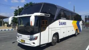 Libur Sekolah Makin Hemat! DAMRI Tawarkan Diskon Rp 50.000 untuk Rute AKAP