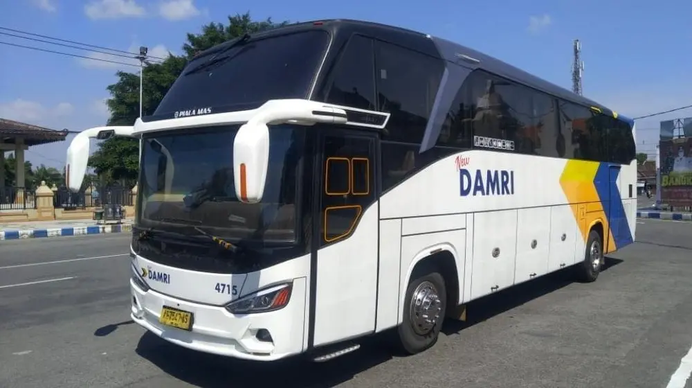 Libur Sekolah Makin Hemat! DAMRI Tawarkan Diskon Rp 50.000 untuk Rute AKAP
