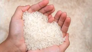 Indonesia Jadi Raksasa Produsen Beras dan Telur Dunia