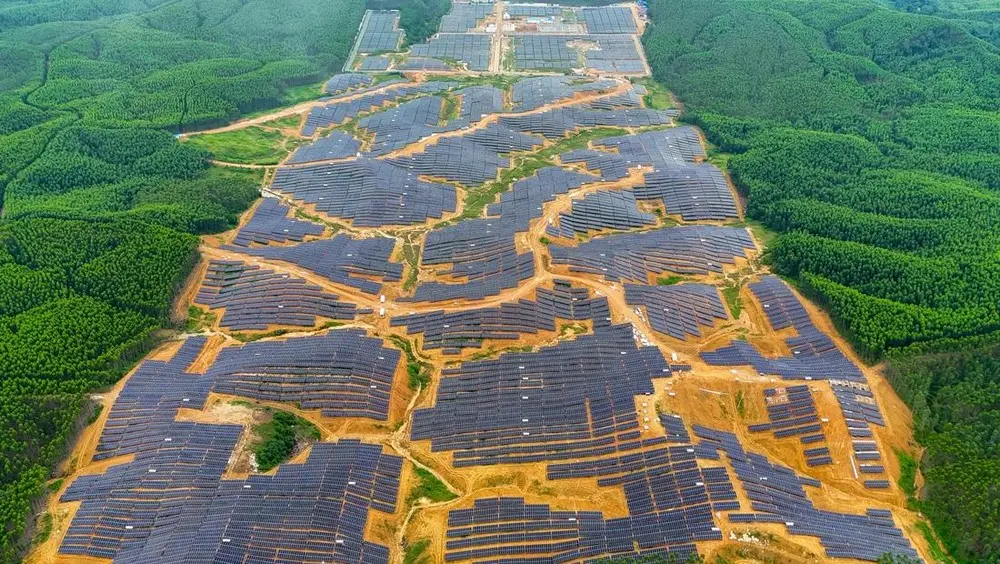 Singapura Investasi Kebun Matahari Raksasa di IKN, Kapasitas 50 MW