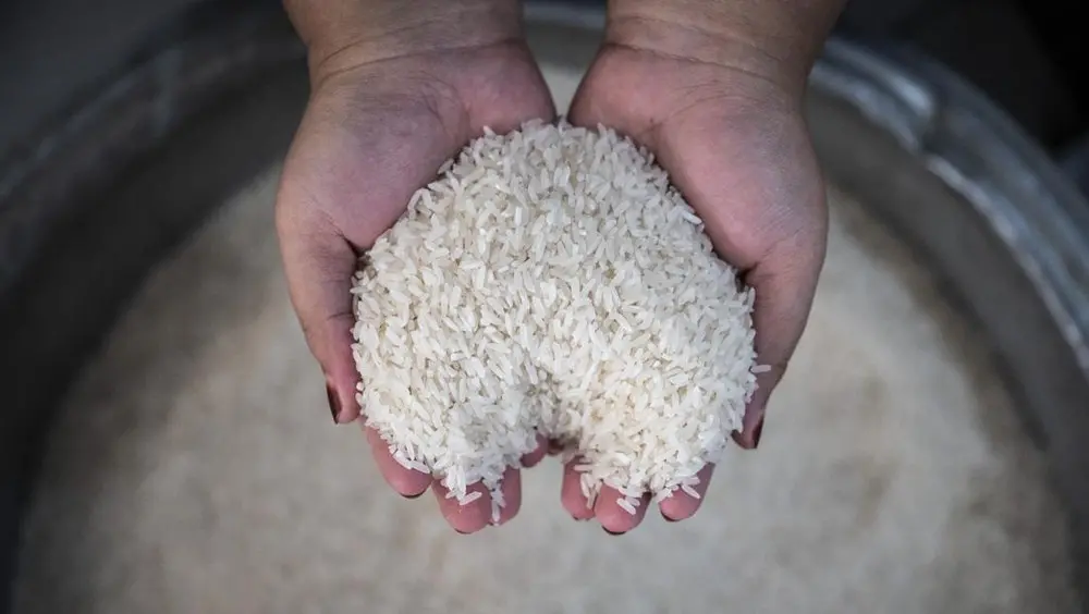 Harga Beras Melambung di Tengah Stok yang Diklaim Aman, Ada Apa?