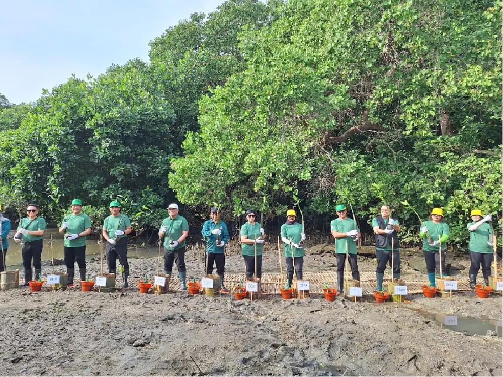 Bank Indonesia Tanam Ribuan Mangrove di Bali, Dukung Ekonomi Hijau Berkelanjutan