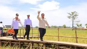 Anggaran Program Prioritas Prabowo Sentuh Rp 611 Triliun dalam 10 Bulan
