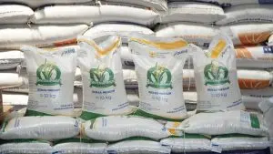 Pemerintah Kucurkan Bansos Beras dan Minyak Goreng untuk 33 Juta Warga