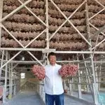 Dari Ladang ke Meja Makan, BI Kawal Harga Pangan dari Hulu ke Hilir