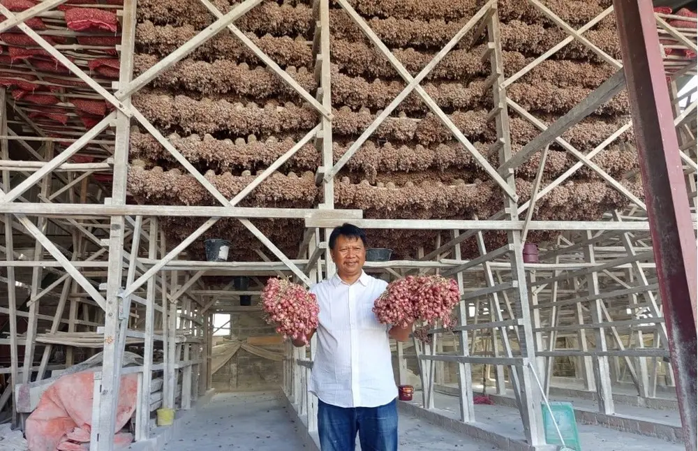 Dari Ladang ke Meja Makan, BI Kawal Harga Pangan dari Hulu ke Hilir