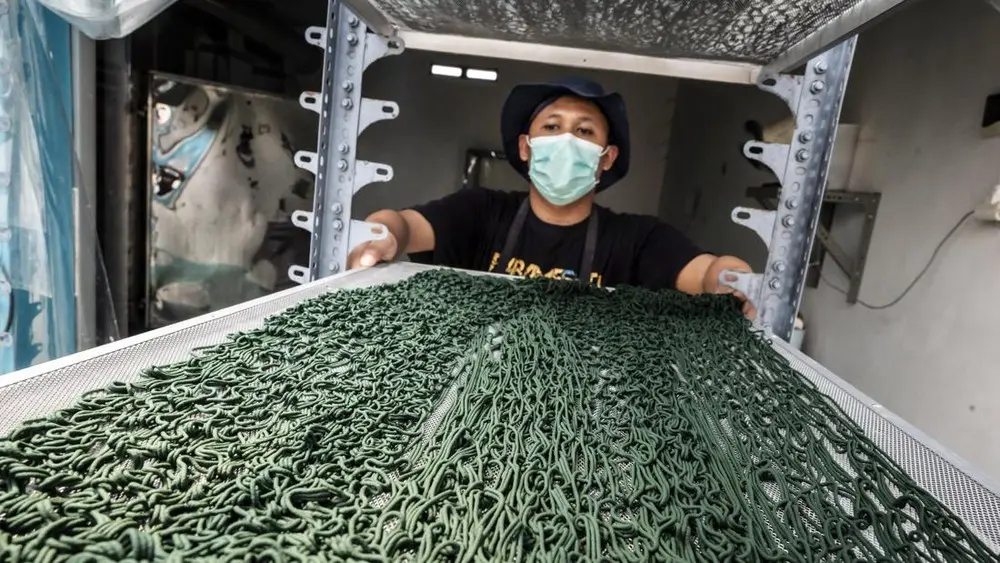 Intip Budidaya Spirulina Panen Cuan Besar