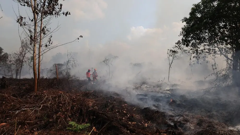 Terungkap Puluhan Pesawat Asing Bantu Karhutla