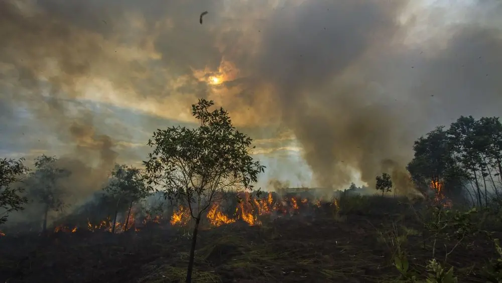 Langit Kalimantan Membara Ratusan Penerbangan Terganggu