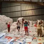 Pangan Aman Bulog Serap Beras 4 Juta Ton