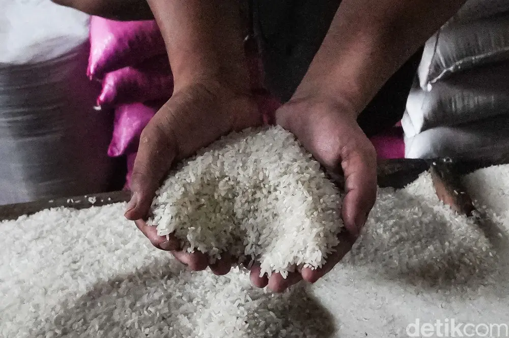 Harga Beras Menggila Kemarau Bikin Stok Menipis
