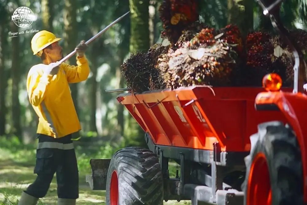 Laba Astra Agro Meroket Rp 1,1 Triliun Terungkap Kuncinya