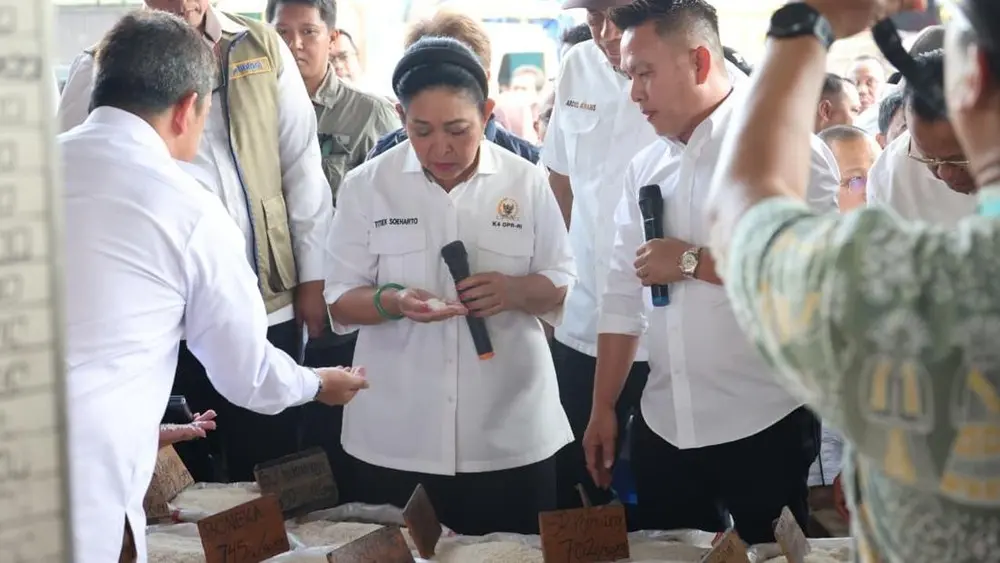Stok Beras Nasional Aman Melimpah