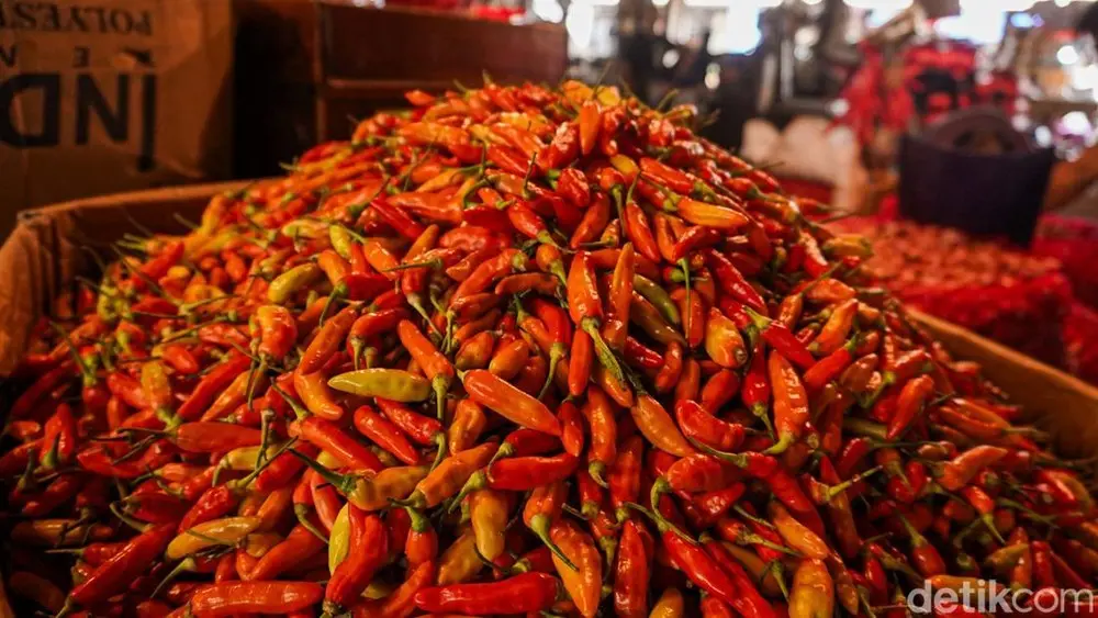 Harga Cabai Rawit Merah Tembus 100 Ribu