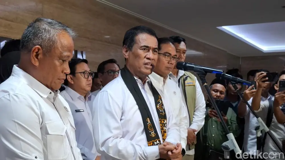 Permintaan Besar Beras Indonesia ke Luar Negeri