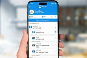 Saldo Hilang di DANA? Ini Kata Chief Risk Officer