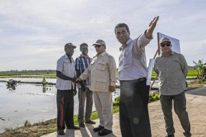 Prabowo Tinjau Langsung Proyek Sawah di Merauke, Dorong Ketahanan Pangan Nasional