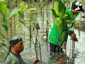 LindungiHutan Gelar Open Forest #2: Tanam Mangrove dan Lestarikan Pesisir