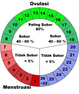 Cara Menghitung Masa Subur Setelah Haid untuk Mencegah Kehamilan