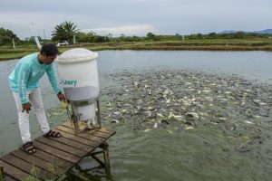 Berita Terkini: Guncangan di eFishery dan Kejutan dari PDIP