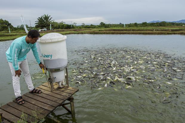 Berita Terkini: Guncangan di eFishery dan Kejutan dari PDIP