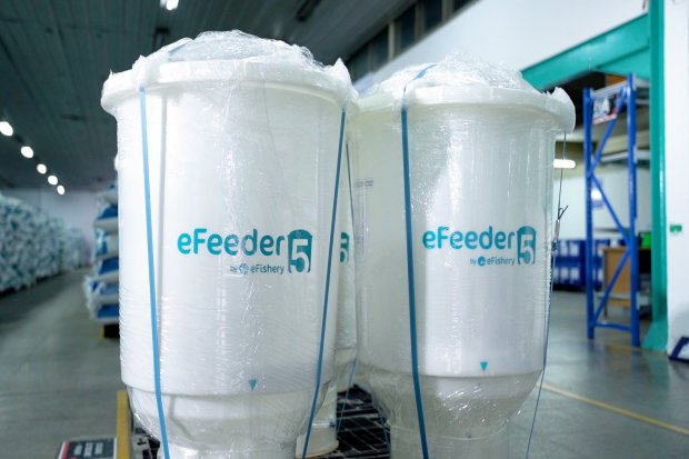 Skandal eFishery: Tata Kelola Startup di Uji