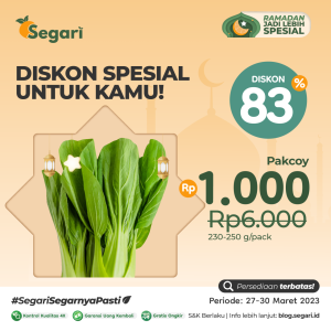 Evista Berikan Diskon Spesial Natal untuk Perjalanan Taksi Listrik