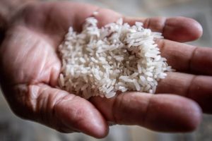 PPN Beras Premium: Aturan Baru 2025