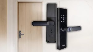 Pintu Kayu Berjamur Saat Musim Hujan? Begini Cara Mengatasinya!