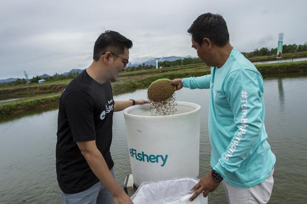 Karyawan eFishery Bantah Tuduhan Kecurangan Massal