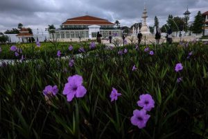 Solo: Jejak Sejarah, Pesona Budaya, dan Kelezatan Kuliner