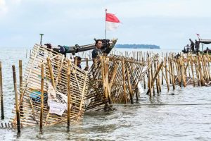 Pembongkaran Pagar Laut Teluknaga: KKP Sayangkan Kurangnya Koordinasi