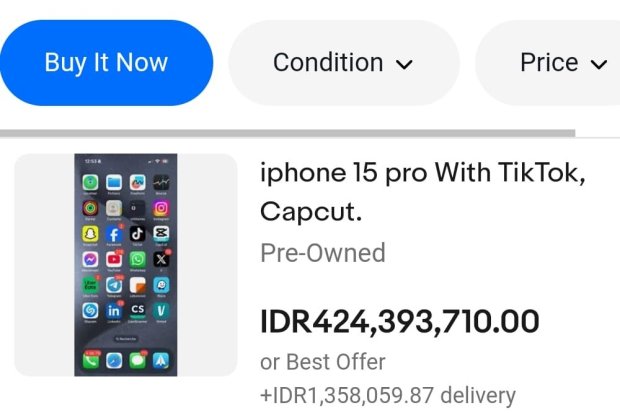 Ponsel Bekas Ber-TikTok Terjual Fantastis di eBay