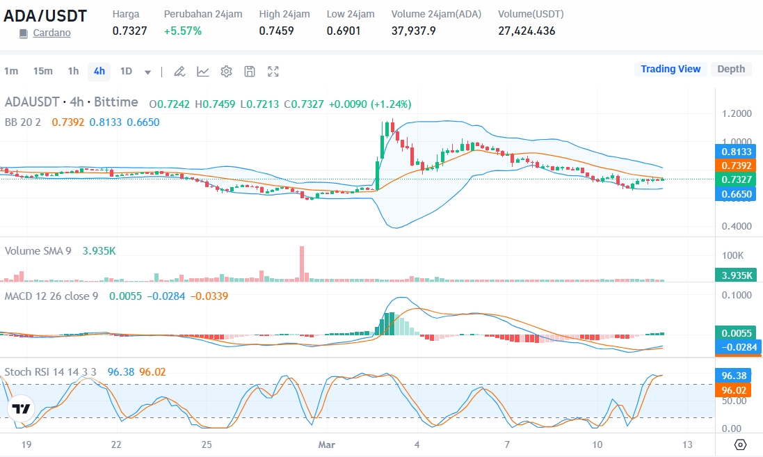 Cardano vs Ripple: Perbandingan Lengkap untuk Investor Kripto