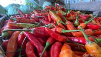 Cabai Palembang Tembus Rp65.000/Kg, Stok Minim Picu Lonjakan Harga