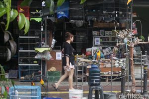 Pedagang Pasar Barito Merana: Terlilit Utang, Dagangan Lesu, Relokasi Jadi Mimpi Buruk