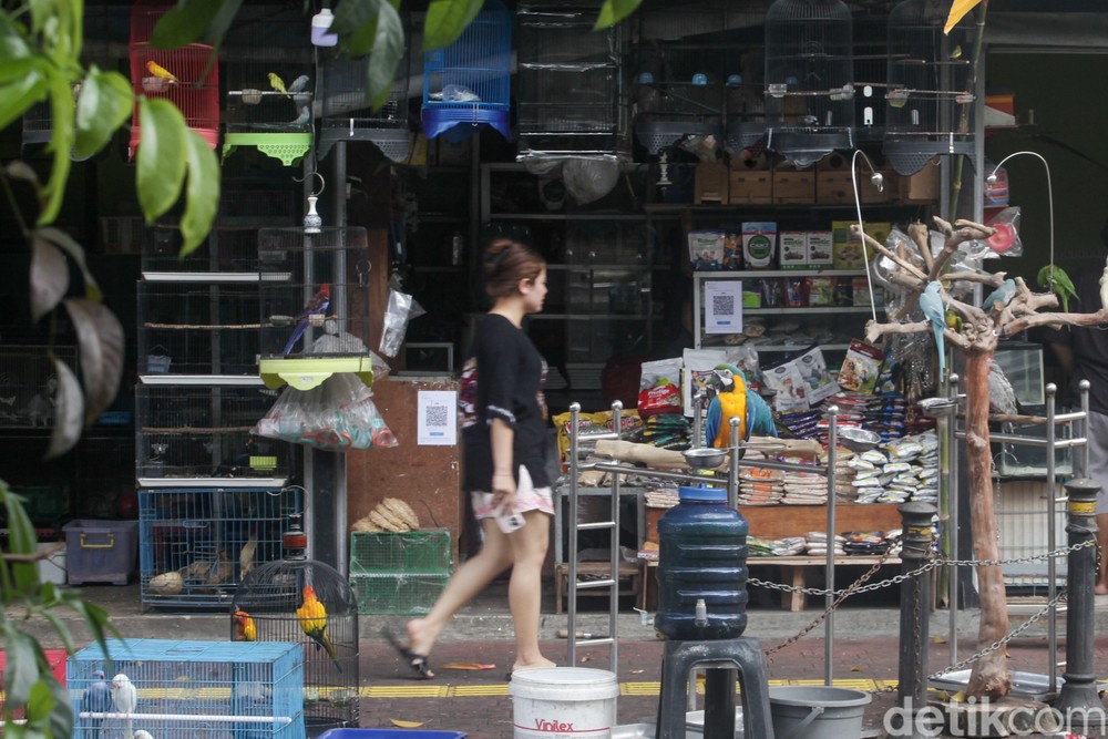 Pedagang Pasar Barito Merana: Terlilit Utang, Dagangan Lesu, Relokasi Jadi Mimpi Buruk