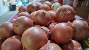 Bea Cukai Gagalkan Penyelundupan 21 Ton Bawang Bombai Selandia Baru di Pontianak