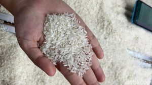 Harga Beras Mulai Melandai Setelah Intervensi Pemerintah