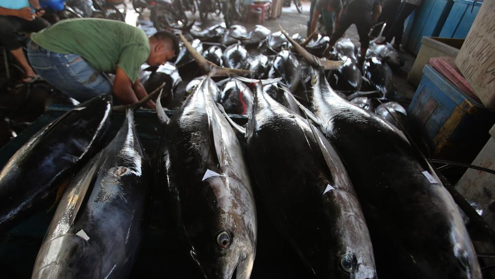 Produk Perikanan Indonesia Siap Menginvasi Pasar Korea Selatan dan Kanada