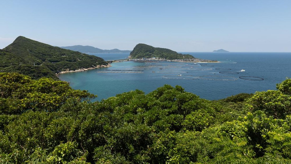 Pemanfaatan Pulau Kecil Tanpa Izin, Siap-Siap Kena Denda KKP!