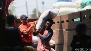 Bulog Ditugaskan Serap Gabah Petani dengan Harga Rp 6.500 per Kilogram